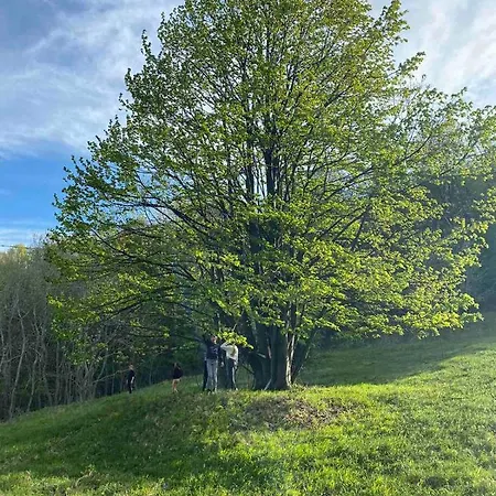 Civova Brvnara 鲁德尼克