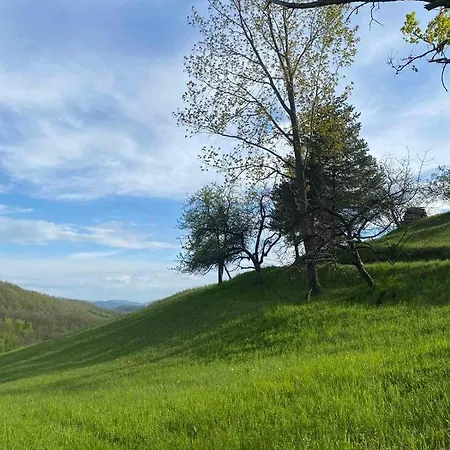 Civova Brvnara *