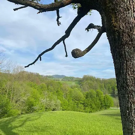 度假居 Civova Brvnara 鲁德尼克