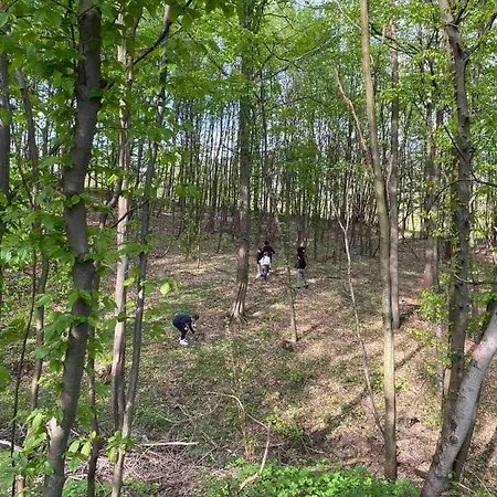 Civova Brvnara Сasa de vacaciones Rudnik