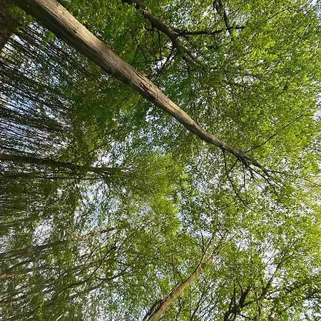 Civova Brvnara Casa de Férias Rudnik Kačerski