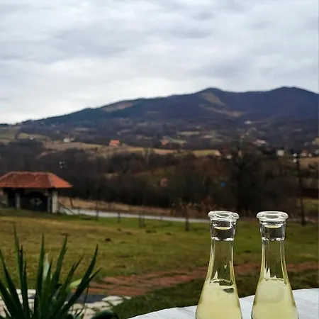 Сasa de vacaciones Civova Brvnara *